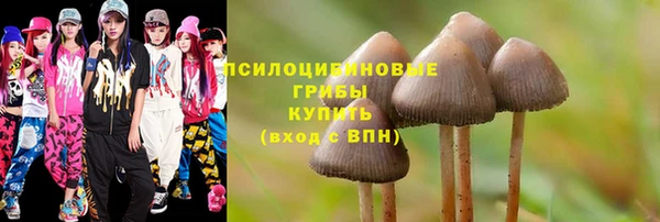 бошки Алексин