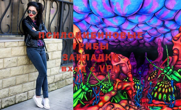 бошки Алексин