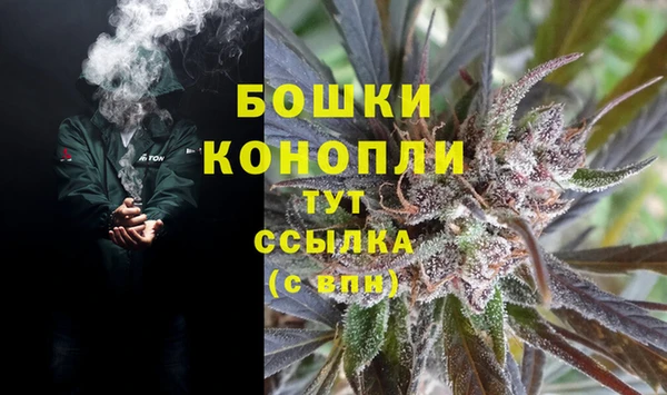 бошки Алексин