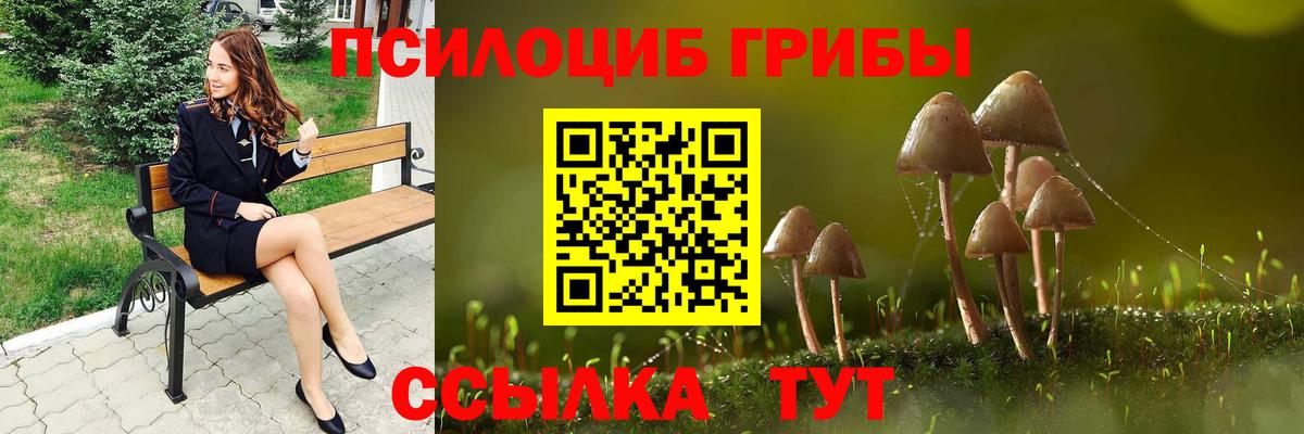 Канск  Псилоцибиновые грибы ЛСД  Вход с VPN 
