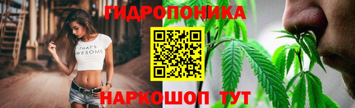 Бошки марихуана VHQ Канск